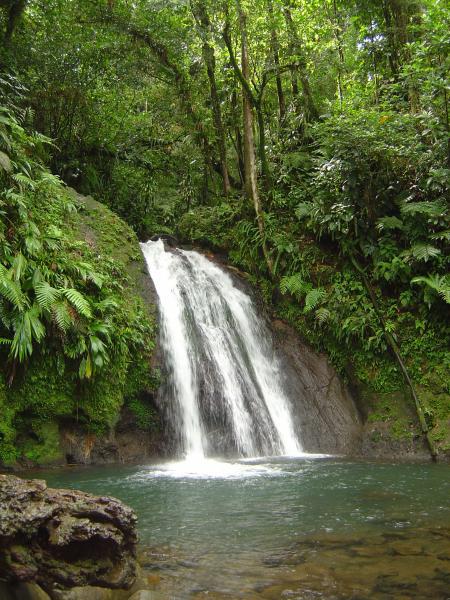 Guadeloupe