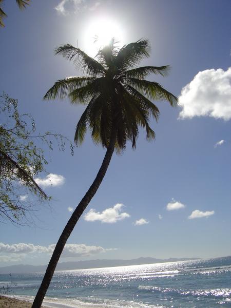 Guadeloupe