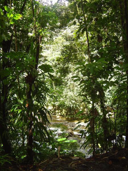 Guadeloupe
